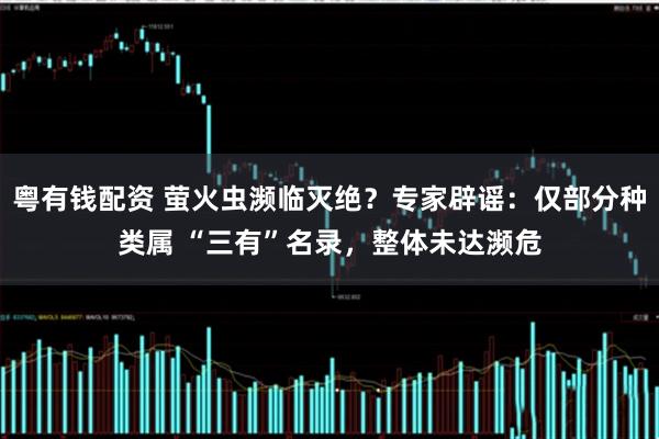 粤有钱配资 萤火虫濒临灭绝？专家辟谣：仅部分种类属 “三有”名录，整体未达濒危